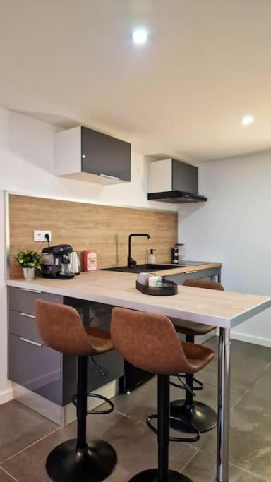 L'atelier B Magnifique Loft Avec Terrasse Privee * Saint-Etienne (Loire)